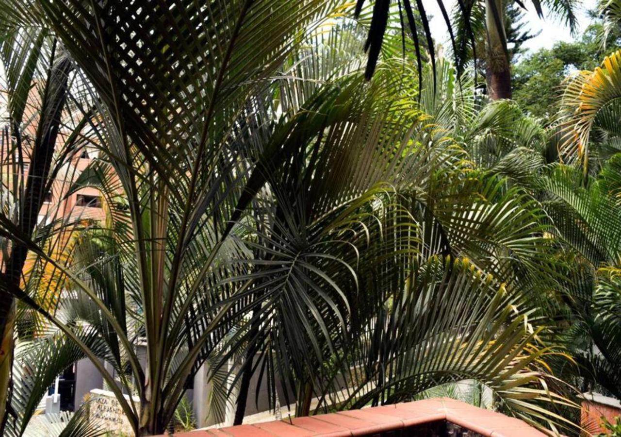 Appartement Amazing 3 Bedroom In El Poblado